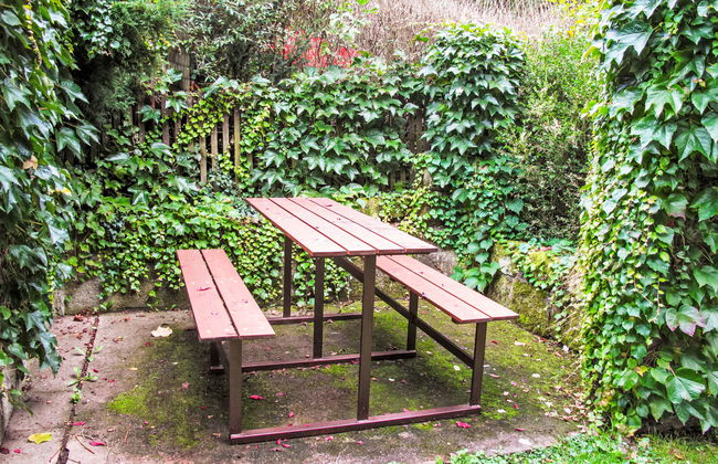 Jestřebice 8 - Foto 27