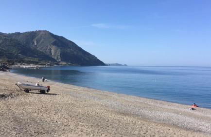 Piccola Bouganville - Foto 7