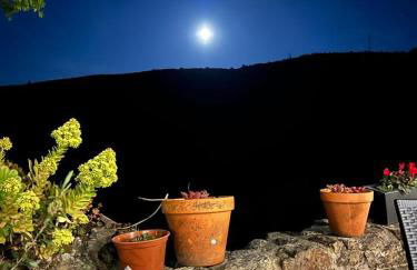 Lugar Dos Devas - Foto 151