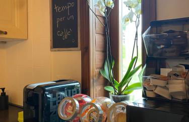 Mandi Mandi in pista - Foto 9