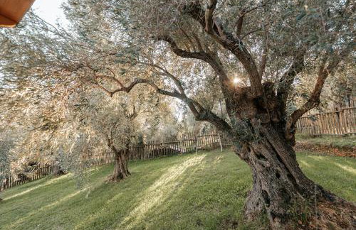 PELIONBLUE VILLAs - Foto 29