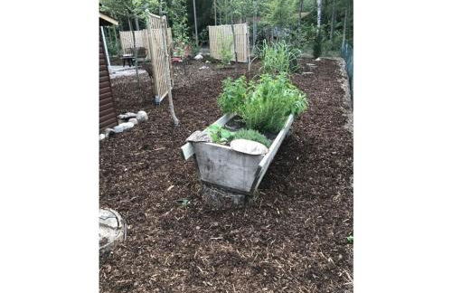 Charming apartment in Husum - Foto 8