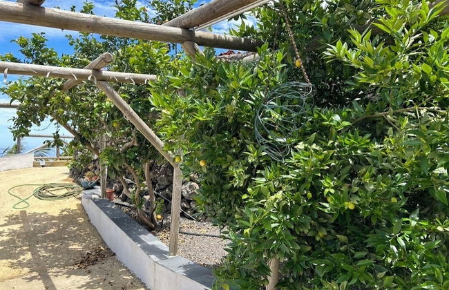 ECOLIFE TENERIFE HOUSES - Foto 45