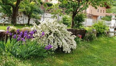 la maison des fleurs - Foto 2