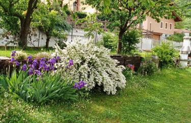 la maison des fleurs - Foto 2