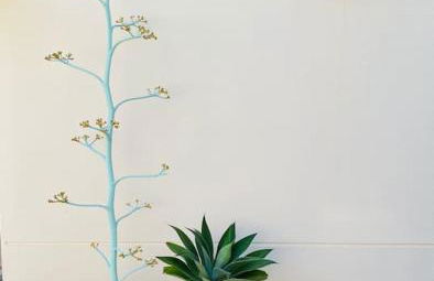 El Toyo Cactus - Foto 18