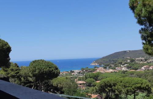 Residence Napoleon - MV - Foto 1