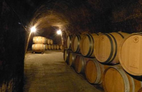 ATICO CAPRICHOS ARANDA - Photo 26