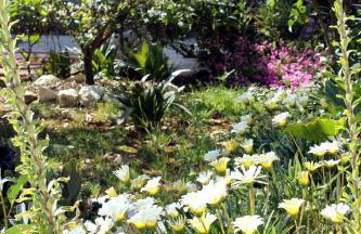 Apartments by the sea Brgulje, Molat - 6241 - Foto 11