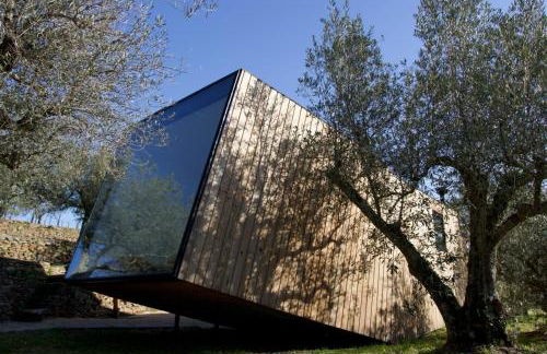 Quinta dos Piscos - Foto 18