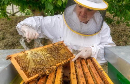 Agriturismo Castello Di Pupaggi - Foto 25