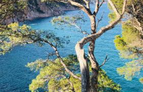 Cala Salions, Chalana I - Foto 72