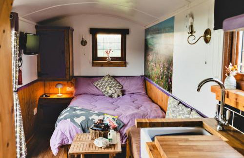 Finest Retreats - Weardale Shepherds Hut - Foto 6
