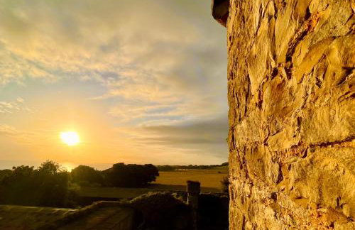 Tan-yr-Ogo Gate Lodge, Gwrych Castle - Foto 7