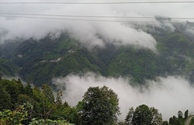 Kamelya Dag Evleri - Foto 1