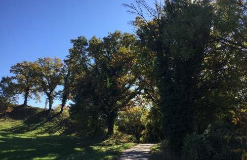 Ferienhaus Andadoana - Foto 32