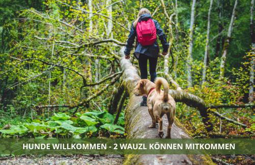 Die Fichtelsuite 1-6 Pers Ferienwohnung nahe Ochsenkopf Süd 800m in Fleckl - Foto 25