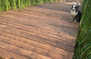 Yahweh Horse Retreat - Photo 32