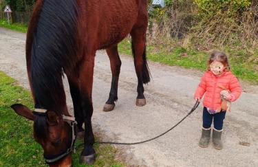 Le Ranch Normand - Foto 49