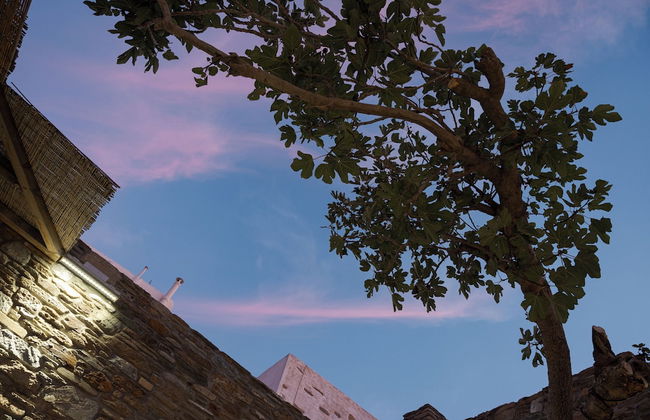 Porto Sereno Andros Suites - Foto 24