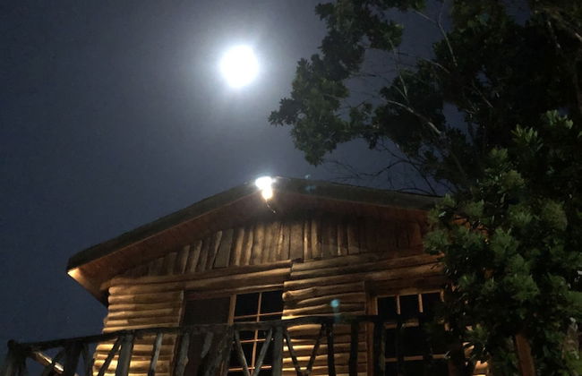 The Blue Mahoe Treehouse - Photo 1