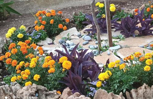 Apartmani Mislav - Photo 34