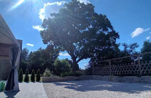 Pokoje gościnne Słoneczny Klon Dąbrówno - Foto 29