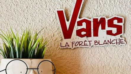 Chaleureux studio à 150m du Point Show - Foto 5