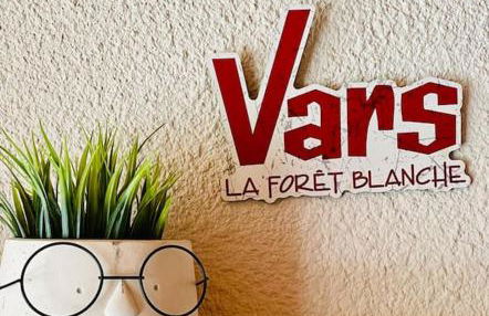 Chaleureux studio à 150m du Point Show - Foto 5