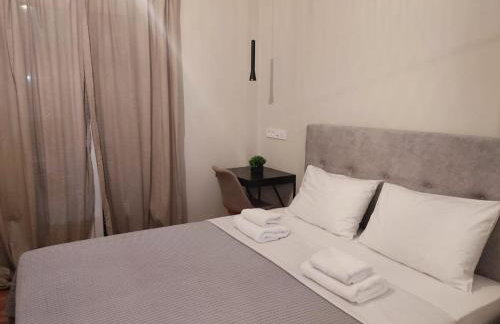 Elegant and spacious penthouse - Foto 6