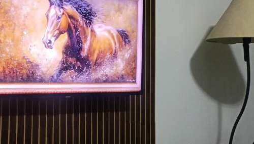 Casa Spar para temporada MOTOGP - Foto 3