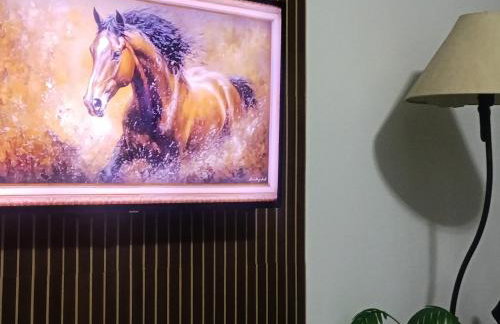 Casa Spar para temporada MOTOGP - Foto 3