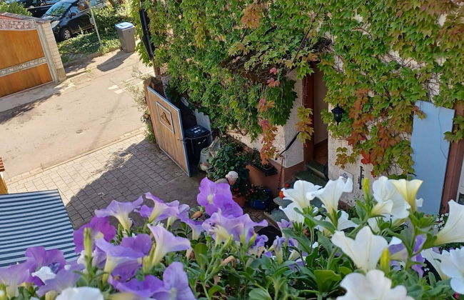 Holiday Apartment Monet in Oberrotweil - Foto 19