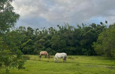 Osório Casa Rústica na Lagoa para 5 pessoas 2 quartos 250 metros da lagoabanhável 15 min da praia wiFi natureza tranquilidade - Foto 52