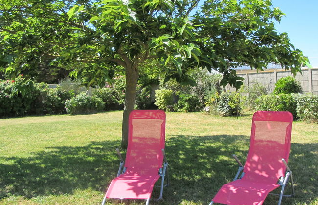 Les Cordylines - Foto 15