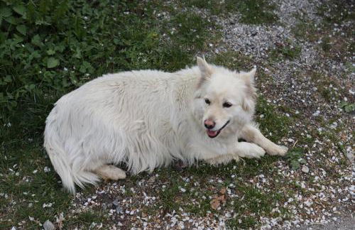 Unterplattnerhof - Photo 23