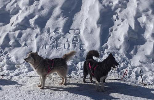 Ustou Guzet neige, appartement de 32 M2 avec balcon dans les Pyrénées aux pieds des pistes - Foto 21