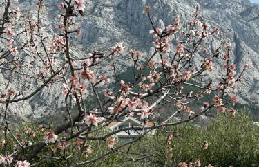 Villa in a quiet area - Private Pool - Sport - Starlink - BBQ - Foto 4