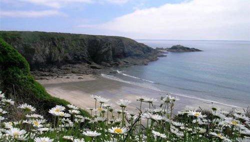 The Old Farmhouse Kitchen - Foto 2