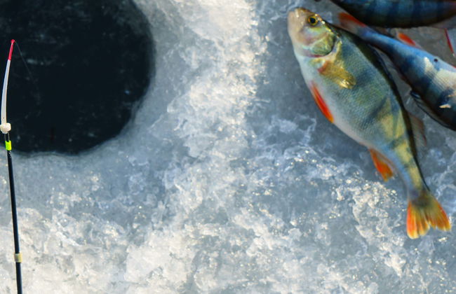 Sirkka Ice Fishing - Photo 1