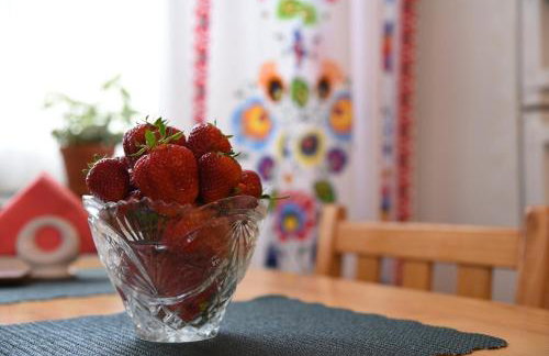 Agroturystyka Kobylnica nad Wisłą - Foto 14