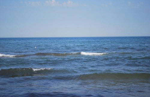 Chalet - Schalom - Foto 47