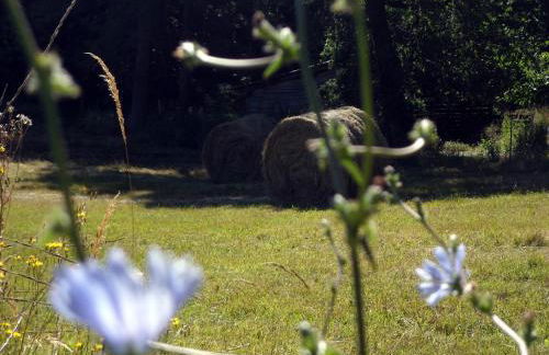 Les gites de Pétrocoriis - Boulazac Périgueux - Foto 15