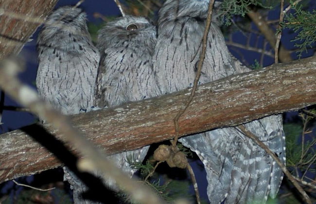 BIG4 Kelso Sands Holiday Park - Foto 28