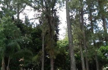 Apartamento Mundi - Império Romano - Caldas Novas - Foto 25