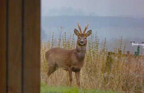 Blackside Cottage - A Luxury Rural Retreat - Foto 17