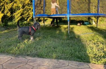 El Rincón de Willy - Foto 14