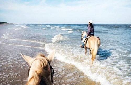 Amelia Island Oceanfront Condo - Foto 31