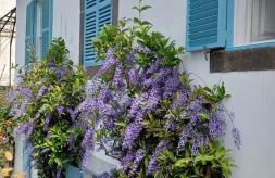 Casa da Madalena do Mar - Foto 43