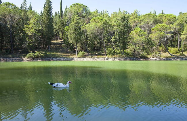 Farm House La Presura - Photo 55